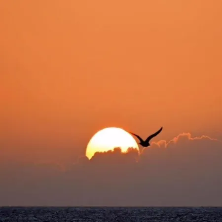 Feriehus Badhuisje Aan Zee Op *