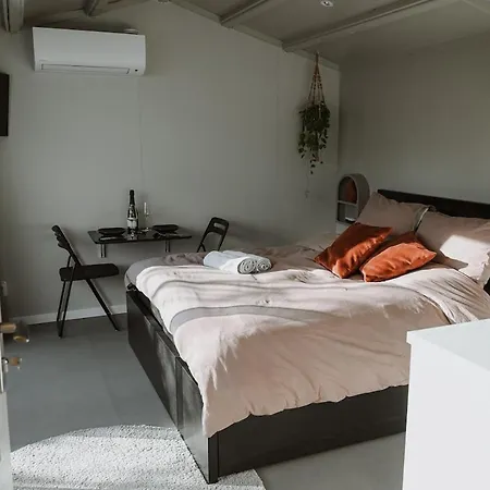 Feriehus Badhuisje Aan Zee Op Huisduinen