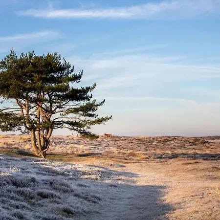 Badhuisje Aan Zee Op Huisduinen