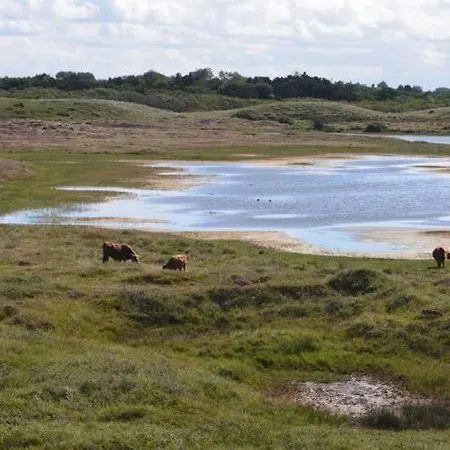 Badhuisje Aan Zee Op * Huisduinen