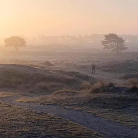 Badhuisje Aan Zee Op Huisduinen