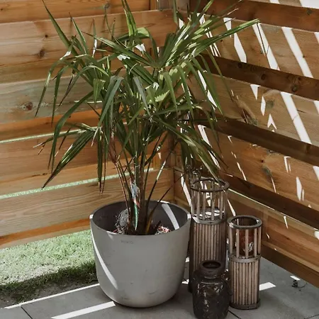 Badhuisje Aan Zee Op Feriehus Huisduinen