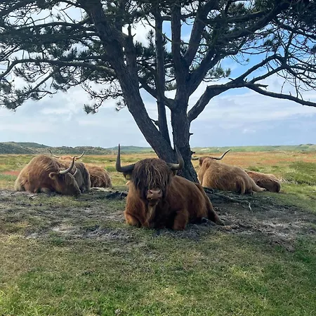 Badhuisje Aan Zee Op
