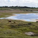 Badhuisje Aan Zee Op * Huisduinen