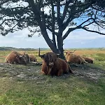 Badhuisje Aan Zee Op